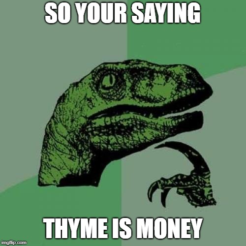 Philosoraptor Meme | SO YOUR SAYING THYME IS MONEY | image tagged in memes,philosoraptor | made w/ Imgflip meme maker