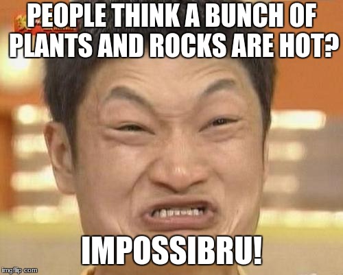 SCRUW GARDENVORE n DANCYEE | PEOPLE THINK A BUNCH OF PLANTS AND ROCKS ARE HOT? IMPOSSIBRU! | image tagged in memes,impossibru guy original | made w/ Imgflip meme maker