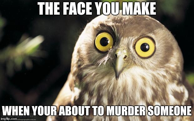 owl thing | THE FACE YOU MAKE; WHEN YOUR ABOUT TO MURDER SOMEONE | image tagged in owl thing | made w/ Imgflip meme maker