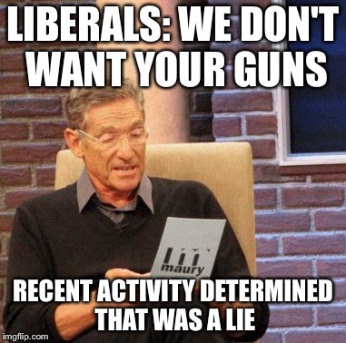 Maury Lie Detector Meme | LIBERALS: WE DON'T WANT YOUR GUNS; RECENT ACTIVITY DETERMINED THAT WAS A LIE | image tagged in memes,maury lie detector | made w/ Imgflip meme maker