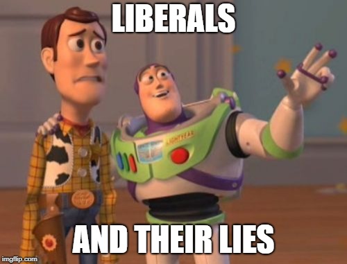 X, X Everywhere | LIBERALS; AND THEIR LIES | image tagged in memes,x x everywhere | made w/ Imgflip meme maker