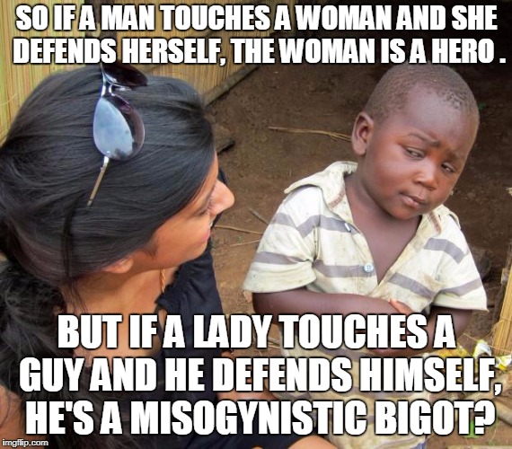 SO TRUE! | SO IF A MAN TOUCHES A WOMAN AND SHE DEFENDS HERSELF, THE WOMAN IS A HERO . BUT IF A LADY TOUCHES A GUY AND HE DEFENDS HIMSELF, HE'S A MISOGYNISTIC BIGOT? | image tagged in so you mean to tell me,funny,memes,feminism,hypocrisy | made w/ Imgflip meme maker