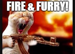 FIRE & FURRY! | made w/ Imgflip meme maker
