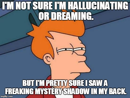 Futurama Fry | I'M NOT SURE I'M HALLUCINATING OR DREAMING. BUT I'M PRETTY SURE I SAW A FREAKING MYSTERY SHADOW IN MY BACK. | image tagged in memes,futurama fry | made w/ Imgflip meme maker