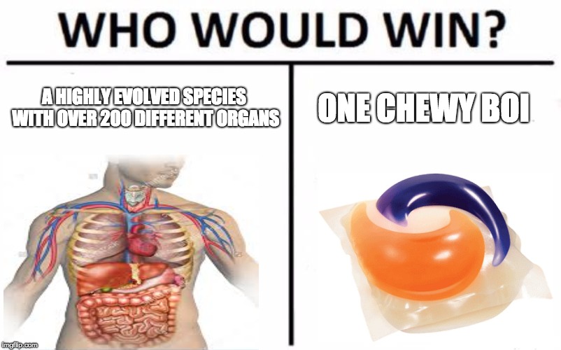 Who Would Win? | A HIGHLY EVOLVED SPECIES WITH OVER 200 DIFFERENT ORGANS; ONE CHEWY BOI | image tagged in memes,who would win | made w/ Imgflip meme maker