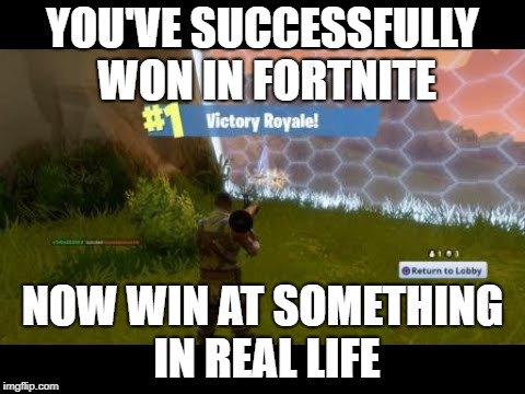 Fortnite Dub | YOU'VE SUCCESSFULLY WON IN FORTNITE; NOW WIN AT SOMETHING IN REAL LIFE | image tagged in fortnite dub | made w/ Imgflip meme maker