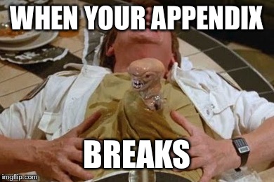 WHEN YOUR APPENDIX BREAKS | made w/ Imgflip meme maker