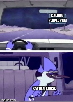 Mordecai driving |  CALLING PEOPLE PIGS; KAYDEN KRUSE | image tagged in mordecai driving | made w/ Imgflip meme maker