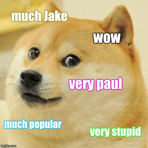 Doge Paul | much Jake; wow; very paul; much popular; very stupid | image tagged in memes,doge,jake paul | made w/ Imgflip meme maker