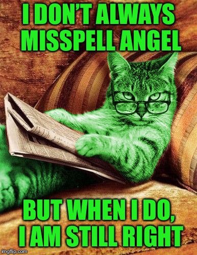 Factual RayCat | I DON’T ALWAYS MISSPELL ANGEL BUT WHEN I DO, I AM STILL RIGHT | image tagged in factual raycat | made w/ Imgflip meme maker