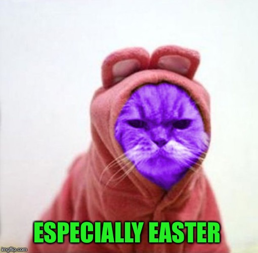 Sullen RayCat | ESPECIALLY EASTER | image tagged in sullen raycat | made w/ Imgflip meme maker