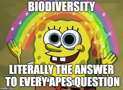 Imagination Spongebob Meme | BIODIVERSITY; LITERALLY THE ANSWER TO EVERY APES QUESTION | image tagged in memes,imagination spongebob | made w/ Imgflip meme maker