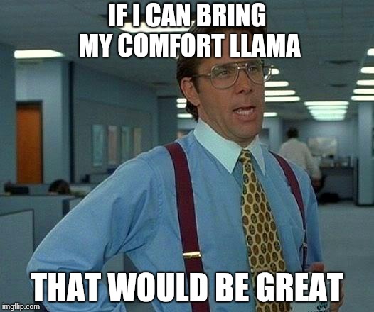 That Would Be Great Meme | IF I CAN BRING MY COMFORT LLAMA THAT WOULD BE GREAT | image tagged in memes,that would be great | made w/ Imgflip meme maker