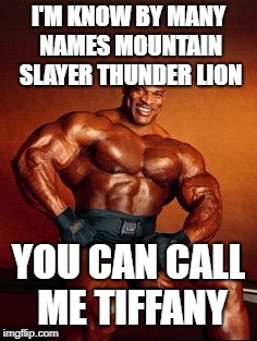 Strong Guy |  I'M KNOW BY MANY NAMES MOUNTAIN SLAYER THUNDER LION; YOU CAN CALL ME TIFFANY | image tagged in strong guy | made w/ Imgflip meme maker