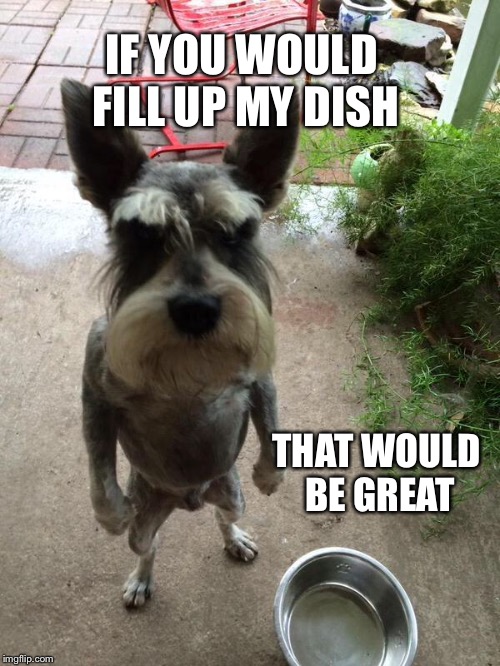 That would be great dog | IF YOU WOULD FILL UP MY DISH; THAT WOULD BE GREAT | image tagged in angry dog,that would be great | made w/ Imgflip meme maker