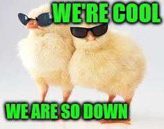 WE'RE COOL WE ARE SO DOWN | made w/ Imgflip meme maker