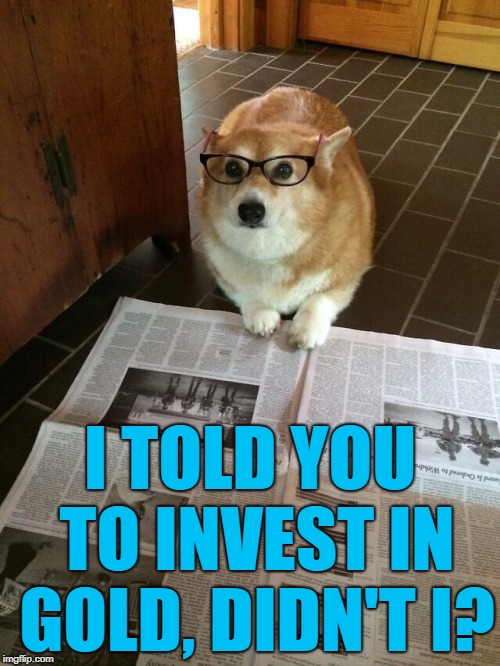 Should've listened... :) | I TOLD YOU TO INVEST IN GOLD, DIDN'T I? | image tagged in newspaper dog,memes,investments,money | made w/ Imgflip meme maker