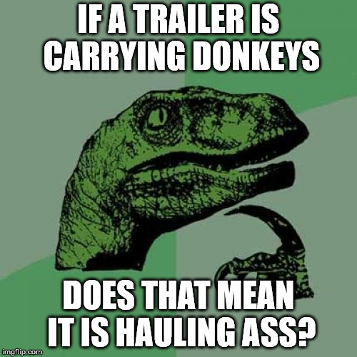 Philosoraptor Meme | IF A TRAILER IS CARRYING DONKEYS; DOES THAT MEAN IT IS HAULING ASS? | image tagged in memes,philosoraptor | made w/ Imgflip meme maker