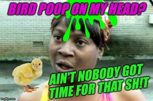 Leftover Chicken, a JBmemegeek and giveuahint Event! (Last one I Promise!) | image tagged in chicken week,aint nobody got time for that,funny animals,memes,poop | made w/ Imgflip meme maker