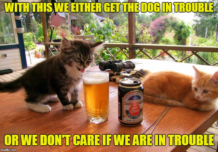 WITH THIS WE EITHER GET THE DOG IN TROUBLE OR WE DON'T CARE IF WE ARE IN TROUBLE | made w/ Imgflip meme maker