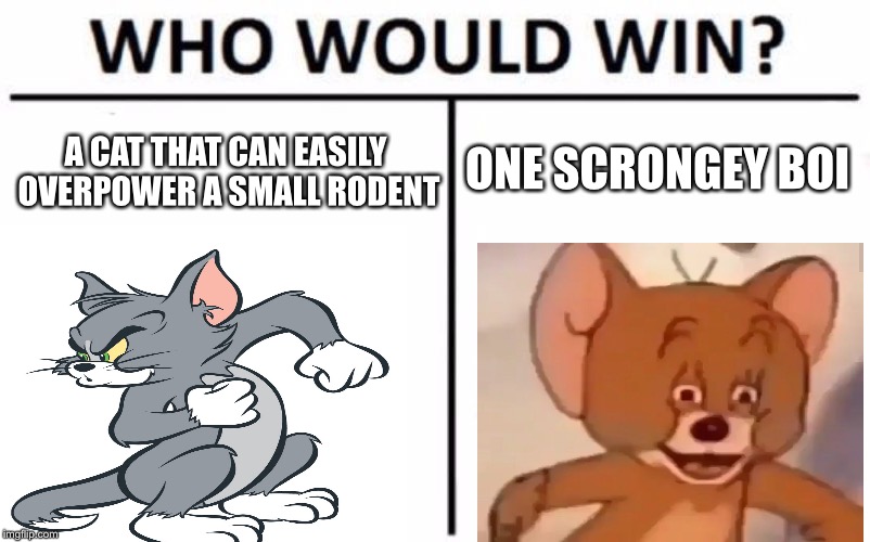 Who Would Win? Meme | ONE SCRONGEY BOI; A CAT THAT CAN EASILY OVERPOWER A SMALL RODENT | image tagged in memes,who would win | made w/ Imgflip meme maker