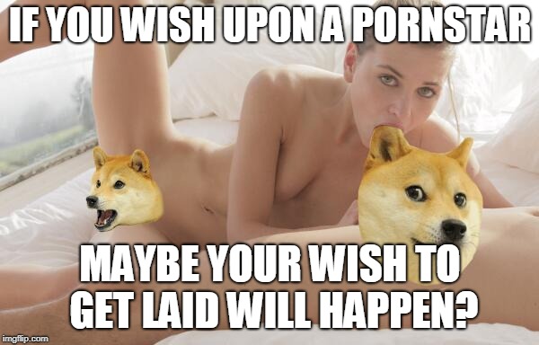 IF YOU WISH UPON A PORNSTAR; MAYBE YOUR WISH TO GET LAID WILL HAPPEN? | image tagged in doge porn | made w/ Imgflip meme maker