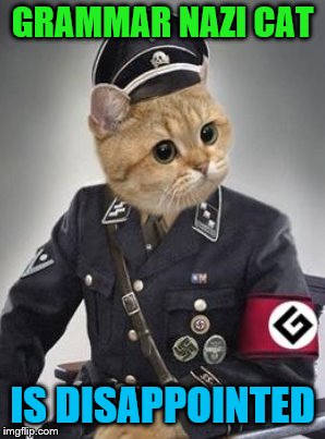 GRAMMAR NAZI CAT IS DISAPPOINTED | made w/ Imgflip meme maker