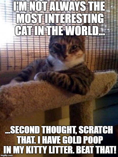 The Most Interesting Cat In The World Meme | I'M NOT ALWAYS THE MOST INTERESTING CAT IN THE WORLD... ...SECOND THOUGHT, SCRATCH THAT. I HAVE GOLD POOP IN MY KITTY LITTER. BEAT THAT! | image tagged in memes,the most interesting cat in the world | made w/ Imgflip meme maker