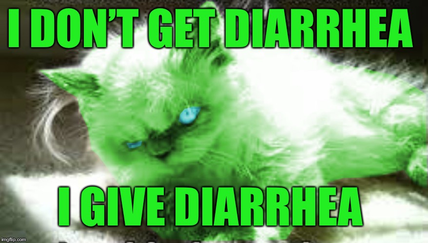 mad raycat | I DON’T GET DIARRHEA I GIVE DIARRHEA | image tagged in mad raycat | made w/ Imgflip meme maker