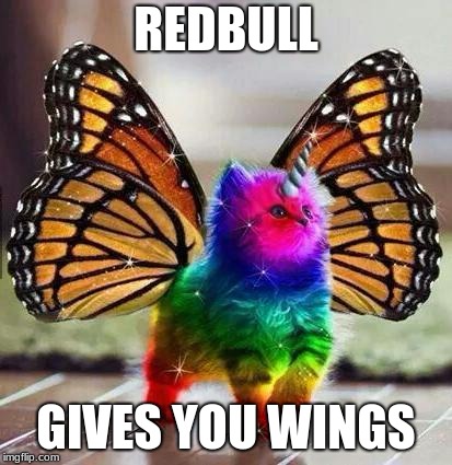 Rainbow unicorn butterfly kitten | REDBULL; GIVES YOU WINGS | image tagged in rainbow unicorn butterfly kitten | made w/ Imgflip meme maker