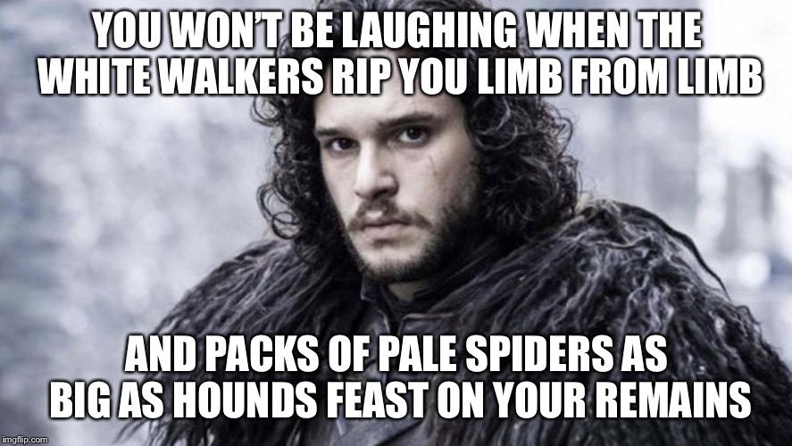 YOU WON’T BE LAUGHING WHEN THE WHITE WALKERS RIP YOU LIMB FROM LIMB AND PACKS OF PALE SPIDERS AS BIG AS HOUNDS FEAST ON YOUR REMAINS | made w/ Imgflip meme maker