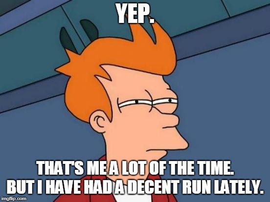 Futurama Fry Meme | YEP. THAT'S ME A LOT OF THE TIME. BUT I HAVE HAD A DECENT RUN LATELY. | image tagged in memes,futurama fry | made w/ Imgflip meme maker