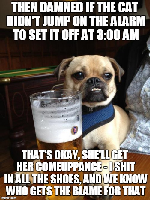 THEN DAMNED IF THE CAT DIDN'T JUMP ON THE ALARM TO SET IT OFF AT 3:00 AM THAT'S OKAY, SHE'LL GET HER COMEUPPANCE - I SHIT IN ALL THE SHOES,  | made w/ Imgflip meme maker