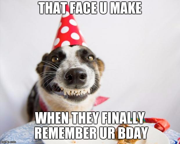 birthday dog | THAT FACE U MAKE; WHEN THEY FINALLY REMEMBER UR BDAY | image tagged in birthday dog | made w/ Imgflip meme maker