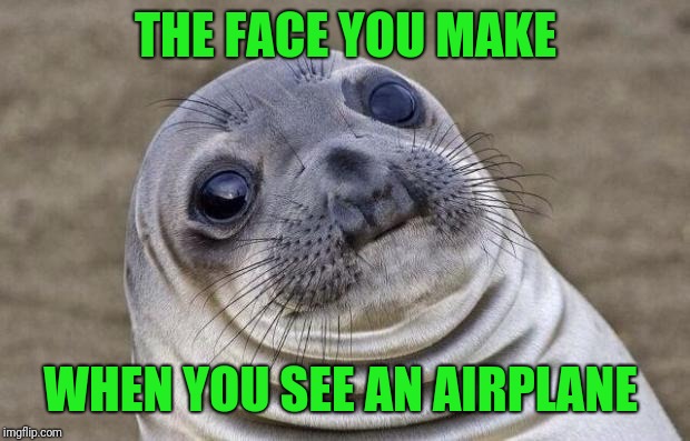 Awkward Moment Sealion Meme | THE FACE YOU MAKE WHEN YOU SEE AN AIRPLANE | image tagged in memes,awkward moment sealion | made w/ Imgflip meme maker