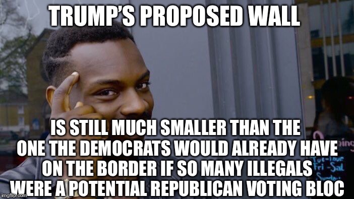 Roll Safe Think About It Meme | TRUMP’S PROPOSED WALL IS STILL MUCH SMALLER THAN THE ONE THE DEMOCRATS WOULD ALREADY HAVE ON THE BORDER IF SO MANY ILLEGALS WERE A POTENTIAL | image tagged in memes,roll safe think about it | made w/ Imgflip meme maker