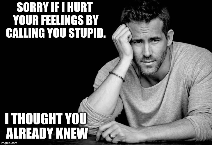 Always the last to know..  | SORRY IF I HURT YOUR FEELINGS BY CALLING YOU STUPID. I THOUGHT YOU ALREADY KNEW | image tagged in ryan reynolds,stupid,hurt feelings,last to know | made w/ Imgflip meme maker
