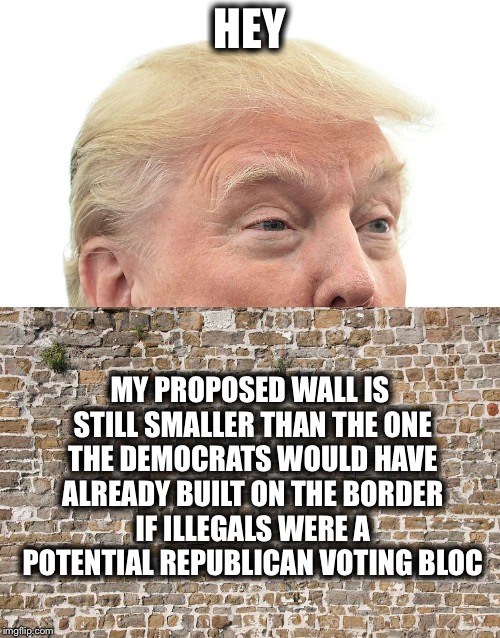 Trump Wall | HEY; MY PROPOSED WALL IS STILL SMALLER THAN THE ONE THE DEMOCRATS WOULD HAVE ALREADY BUILT ON THE BORDER IF ILLEGALS WERE A POTENTIAL REPUBLICAN VOTING BLOC | image tagged in trump wall,democratic party,democrats,republicans,illegal aliens,illegal immigration | made w/ Imgflip meme maker
