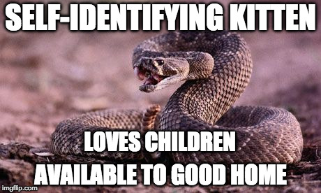 Rattlesnake |  SELF-IDENTIFYING KITTEN; LOVES CHILDREN; AVAILABLE TO GOOD HOME | image tagged in rattlesnake | made w/ Imgflip meme maker