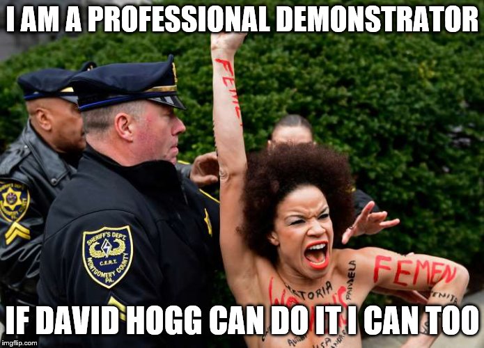 I AM A PROFESSIONAL DEMONSTRATOR; IF DAVID HOGG CAN DO IT I CAN TOO | image tagged in hired help | made w/ Imgflip meme maker