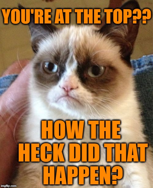 Grumpy Cat Meme | YOU'RE AT THE TOP?? HOW THE HECK DID THAT HAPPEN? | image tagged in memes,grumpy cat | made w/ Imgflip meme maker