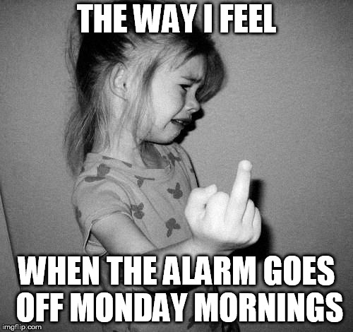 little girl crying | THE WAY I FEEL; WHEN THE ALARM GOES OFF MONDAY MORNINGS | image tagged in little girl crying | made w/ Imgflip meme maker