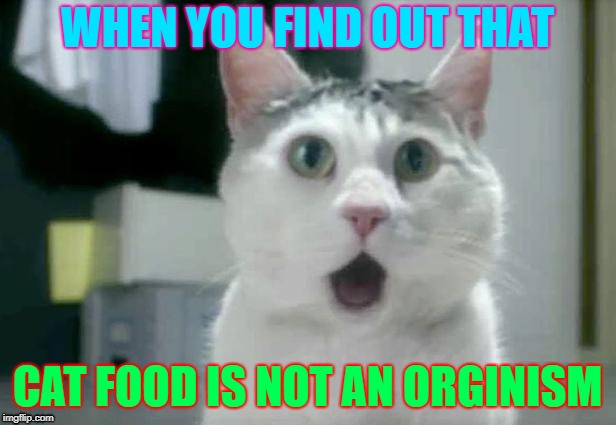 OMG Cat Meme | WHEN YOU FIND OUT THAT; CAT FOOD IS NOT AN ORGINISM | image tagged in memes,omg cat | made w/ Imgflip meme maker