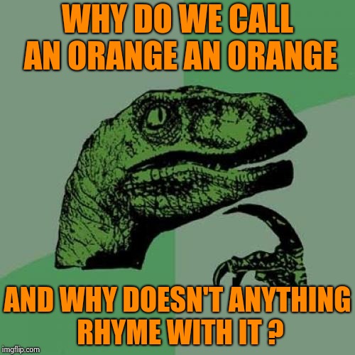 Philosoraptor Meme | WHY DO WE CALL AN ORANGE AN ORANGE AND WHY DOESN'T ANYTHING RHYME WITH IT ? | image tagged in memes,philosoraptor | made w/ Imgflip meme maker