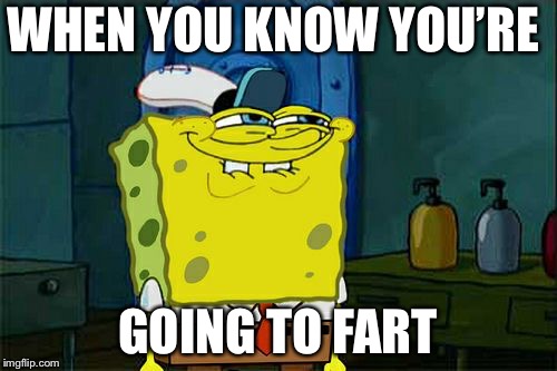 Fart | WHEN YOU KNOW YOU’RE; GOING TO FART | image tagged in memes | made w/ Imgflip meme maker
