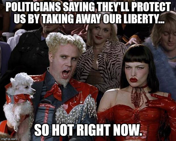 politicians  | POLITICIANS SAYING THEY'LL PROTECT US BY TAKING AWAY OUR LIBERTY... SO HOT RIGHT NOW. | image tagged in so hot right now,gun control,assholes | made w/ Imgflip meme maker