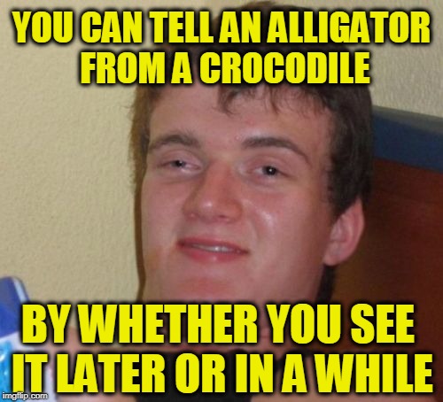 10 Guy Meme | YOU CAN TELL AN ALLIGATOR FROM A CROCODILE; BY WHETHER YOU SEE IT LATER OR IN A WHILE | image tagged in memes,10 guy | made w/ Imgflip meme maker
