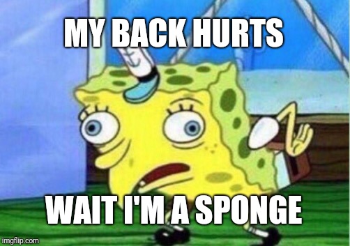 Mocking Spongebob Meme | MY BACK HURTS; WAIT I'M A SPONGE | image tagged in memes,mocking spongebob | made w/ Imgflip meme maker