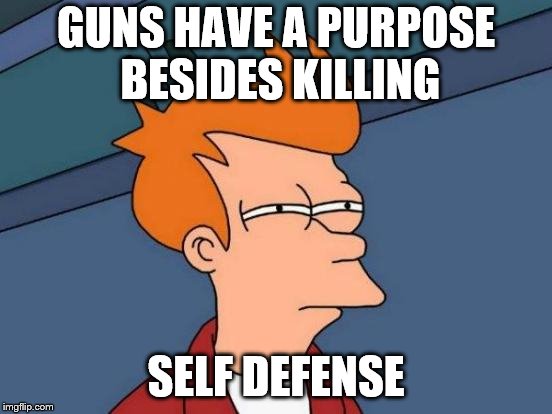 Futurama Fry Meme | GUNS HAVE A PURPOSE BESIDES KILLING SELF DEFENSE | image tagged in memes,futurama fry | made w/ Imgflip meme maker