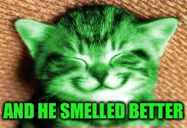 happy RayCat | AND HE SMELLED BETTER | image tagged in happy raycat | made w/ Imgflip meme maker